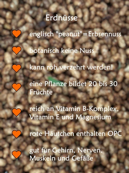 Wissenswertes über Erdnüsse