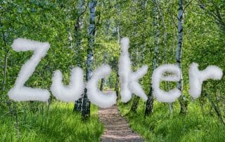 Die Süße des Lebens: Birkenzucker, Xylit