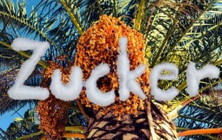 Süße des Lebens Dattelsirup