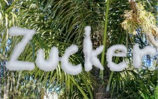 Süße des Lebens Palmzucker