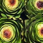 der Blick ins Innere der Artischocken