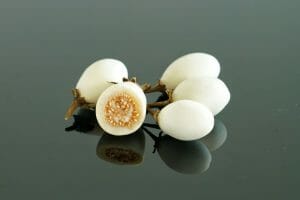 weiße Thai Auberginen