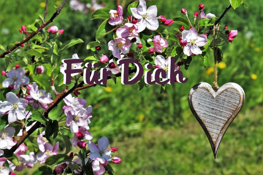 Rezepte für Dich