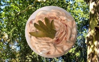 Vegan Grillen Rezept Ketchup-Gurken-Dip