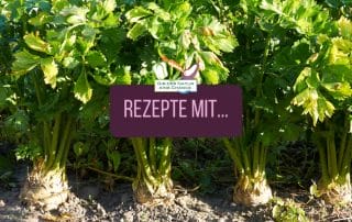Rezeptideen mit Knollensellerie