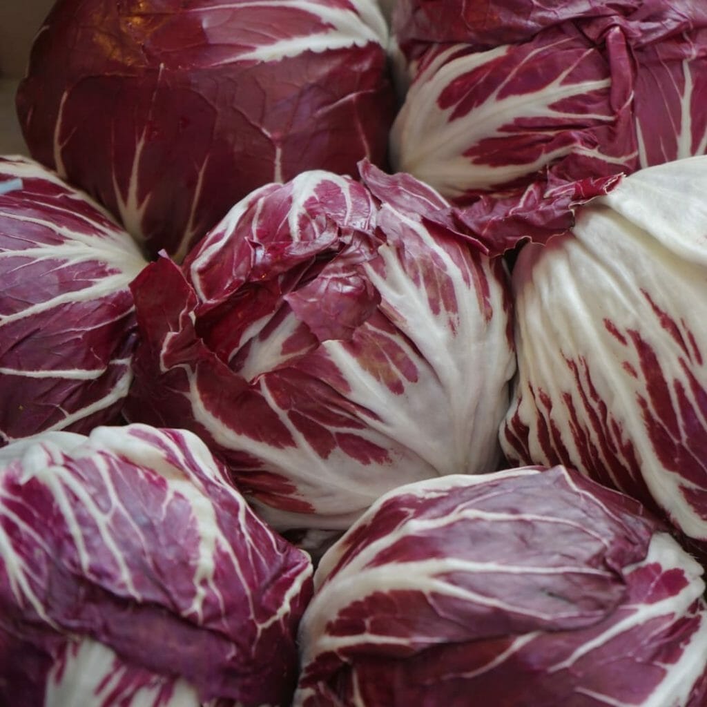 Radicchio