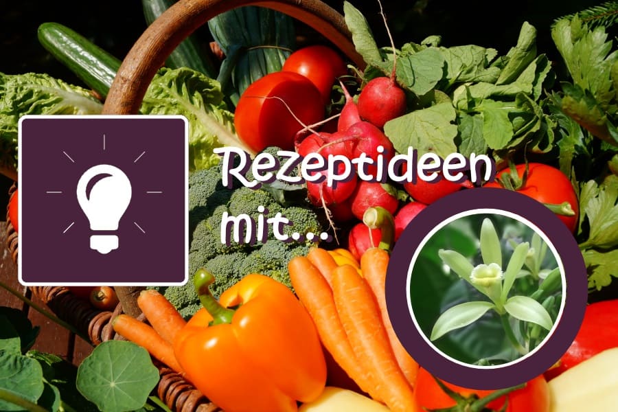 Rezeptideen mit Vanille