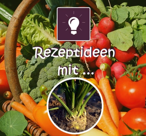 Rezeptideen mit Knollensellerie 