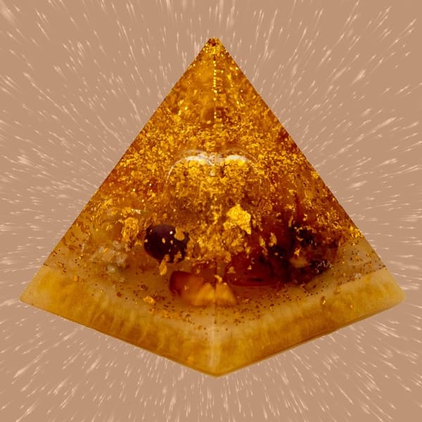 Organpyramide Immunsystem Yamsaro