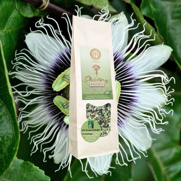 Shiriing Tee Intervall Fasten