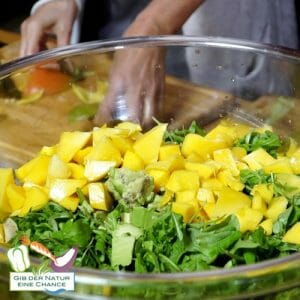 Mango-Salat mit veganem Mozzarella