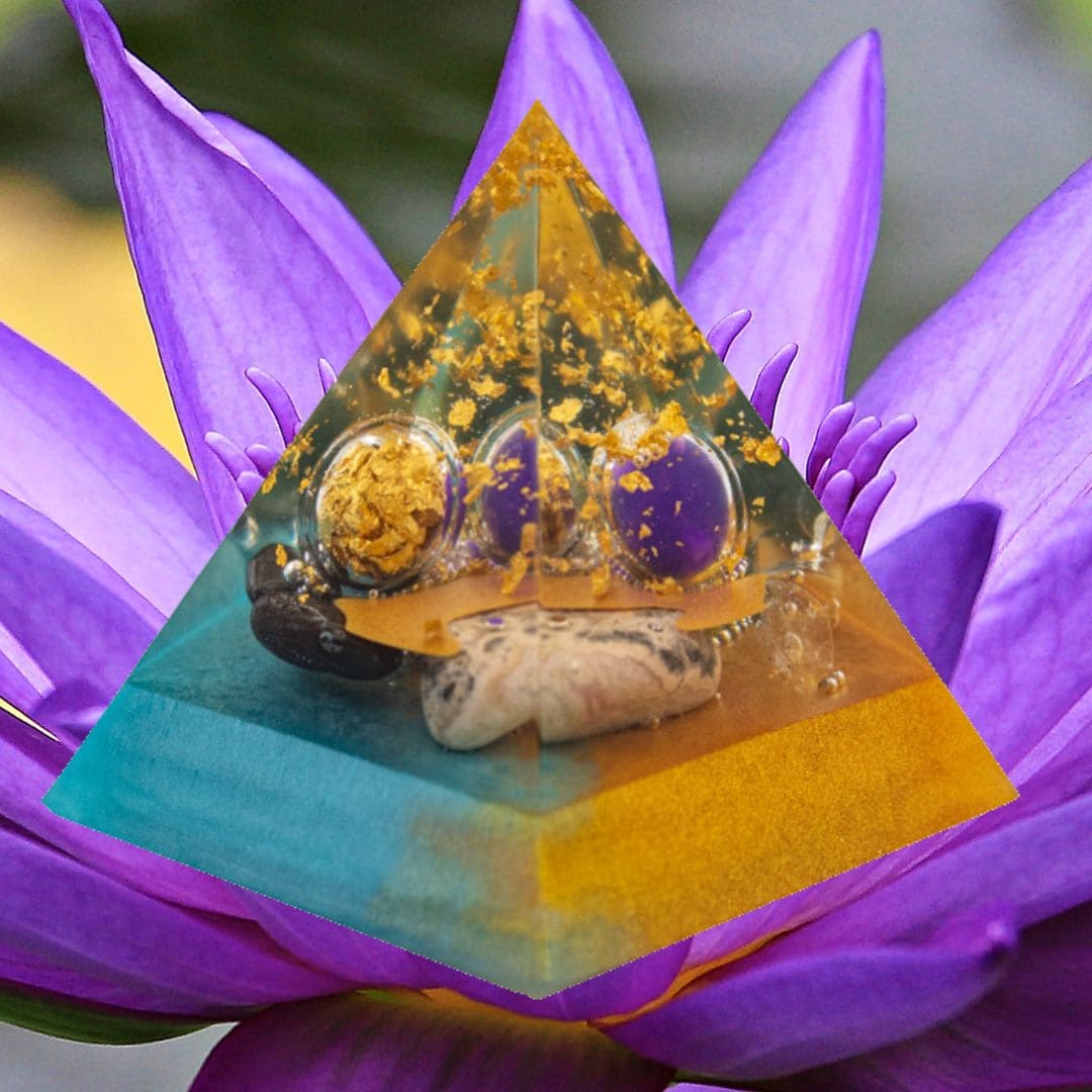 Organpyramide Nieren von Yamsaro