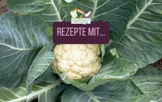Rezepte mit...Blumenkohl