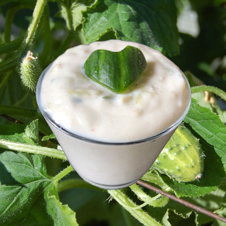 Zaziki / Tzatziki