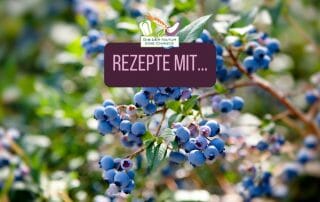 Rezepte mit...Blaubeeren