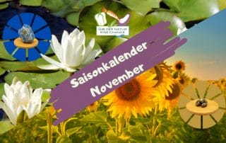 Saisonkalender November