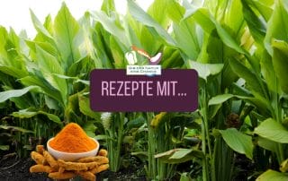 Rezepte mit Kurkuma