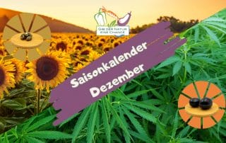 Saisonkalender Dezember