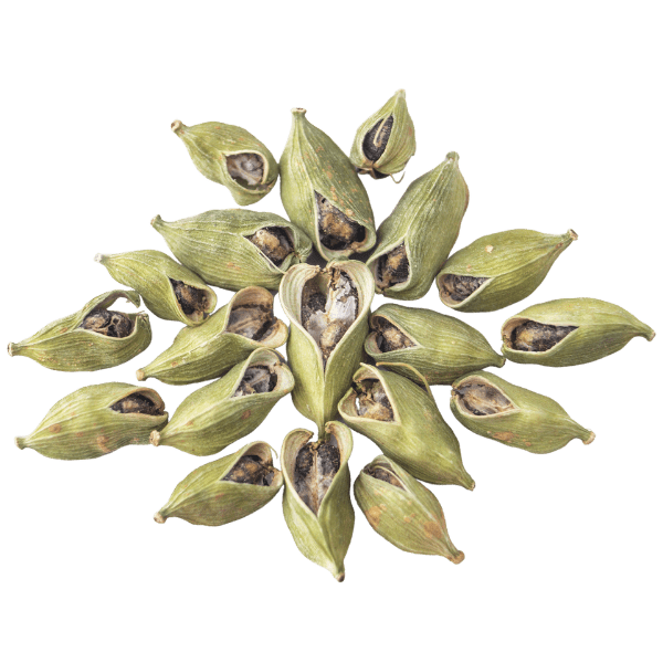 Kochshow Wissen Kardamom Rezepte