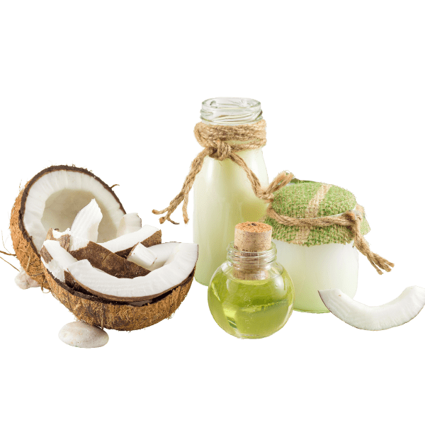 Kochshow Wissen Kokosnuss