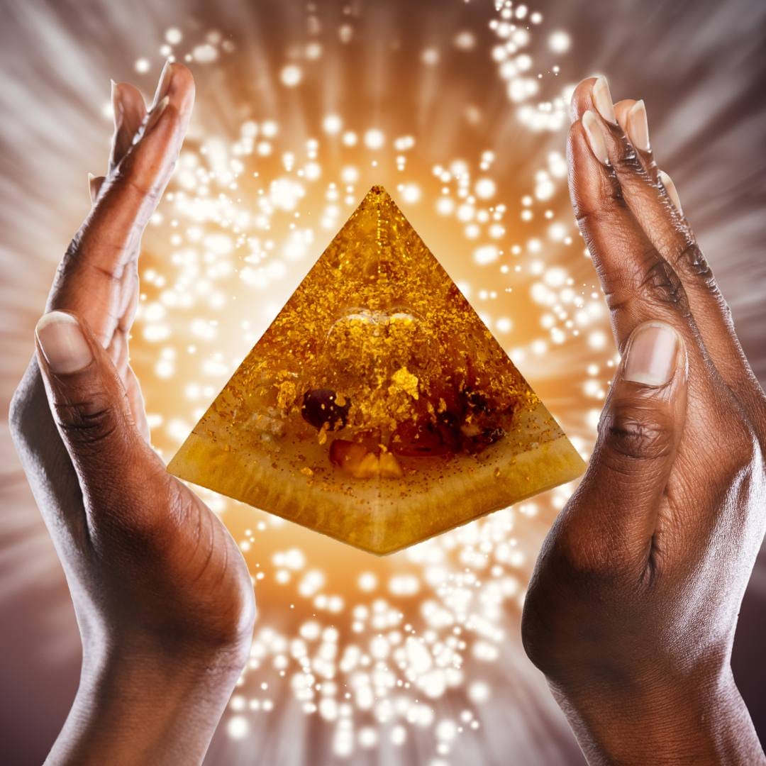 Organpyramide Immunsystem von Yamsaro