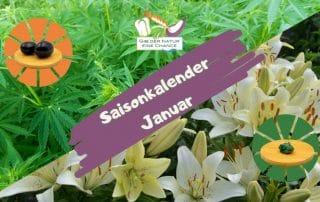 Saisonkalender Januar