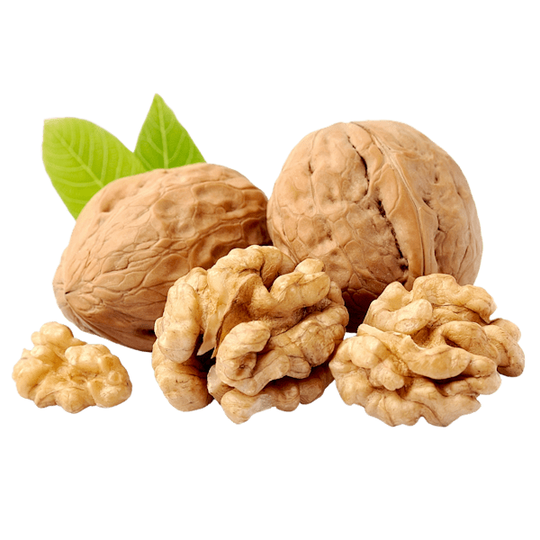 Walnüsse Kochshow Wissen