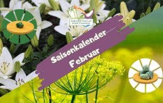 Saisonkalender Februar