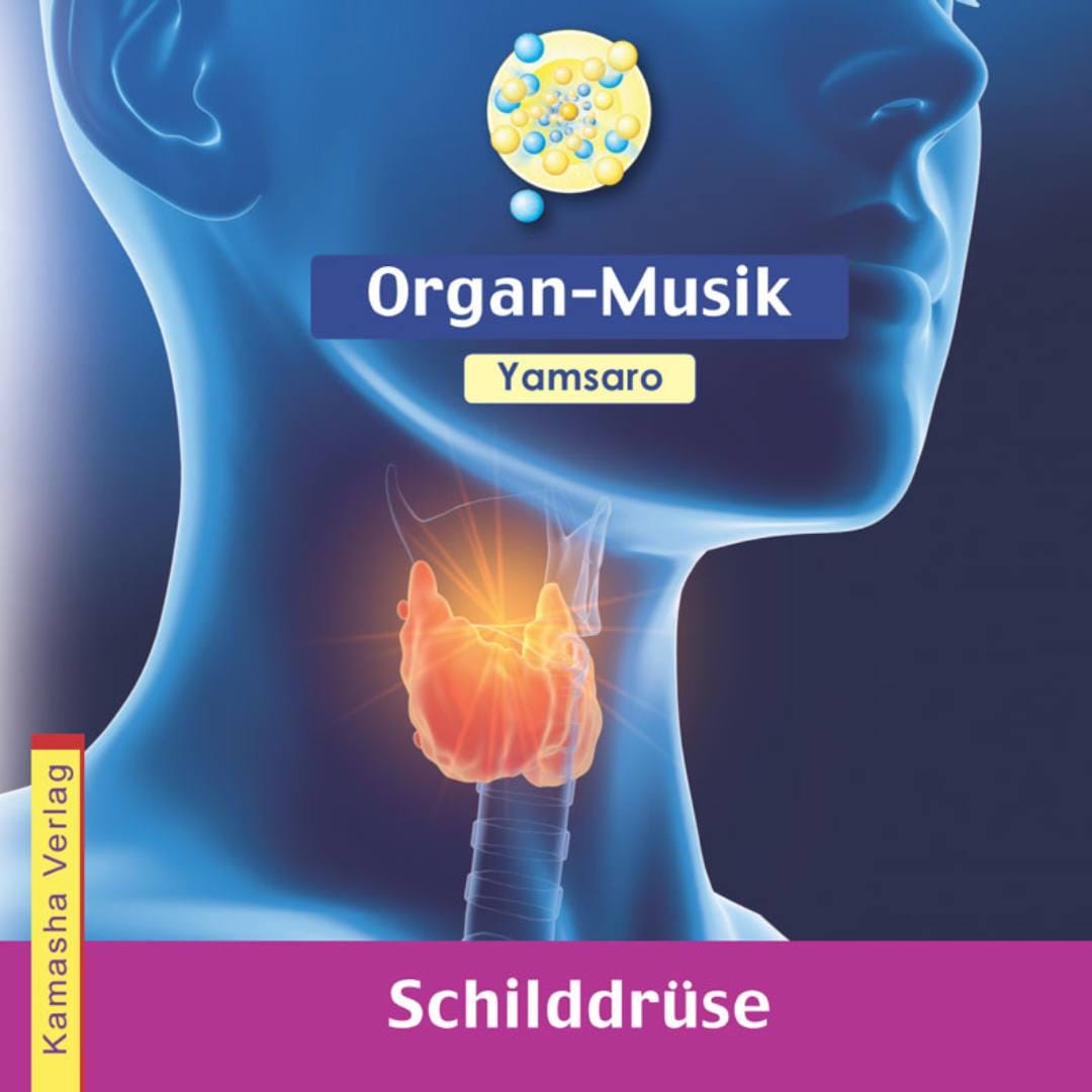 Organ-Musik Schilddrüse von Yamsaro