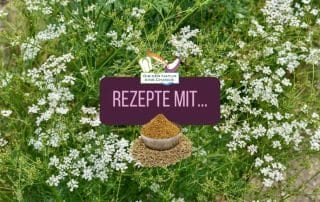 Rezepte mit Kreuzkümmel