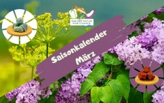 Beitragsbild Saisonkalender März
