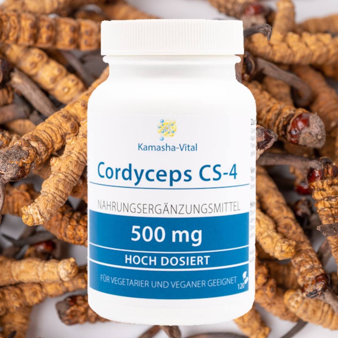 Cordyceps CS-4