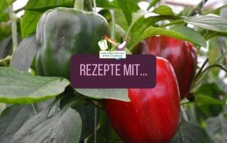 Rezeptideen mit Paprika