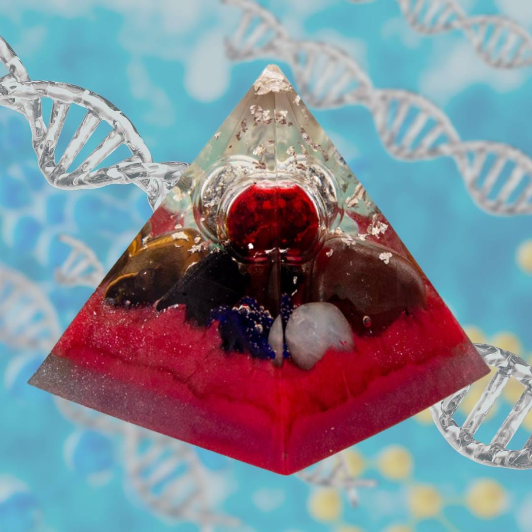 Organpyramide Milz von Yamsaro