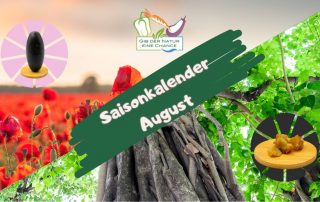 Saisonkalender August